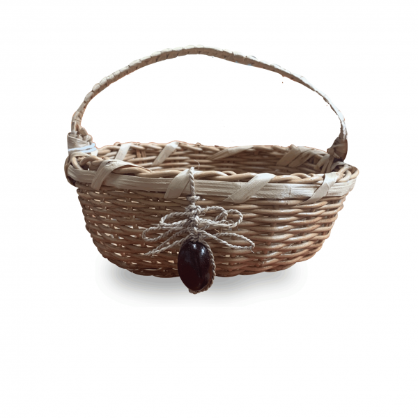 Roxana Villanueva 27-001-031